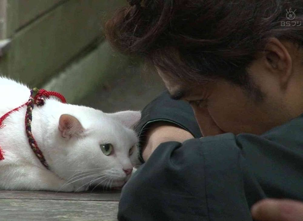 Amazon.co.jp: 劇場版 「 猫侍 」 [Blu-ray] : 北村一輝, 蓮佛